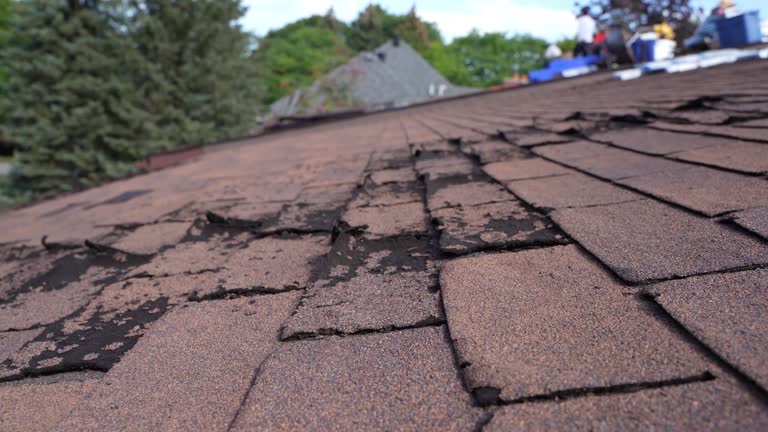 Roof Moss and Algae Removal in Star City, WV